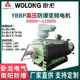 风机水泵用卧龙南阳YBBP高压防爆变频电机6/10VIC416IP55