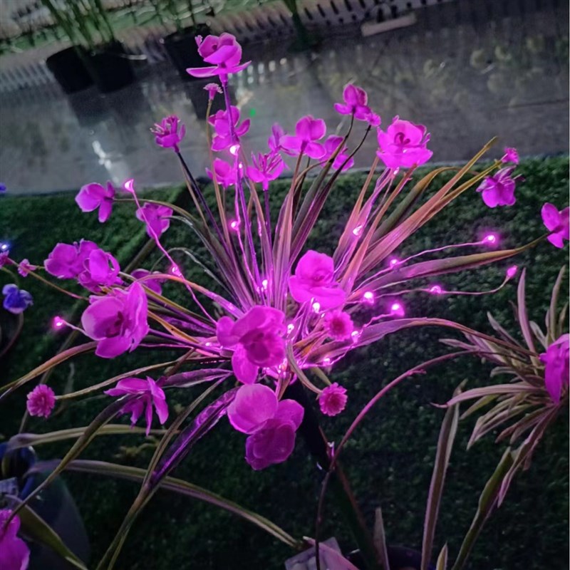 新款节能七彩太阳能户外发光蝴蝶兰花灯地插草坪灯充电天黑自动亮