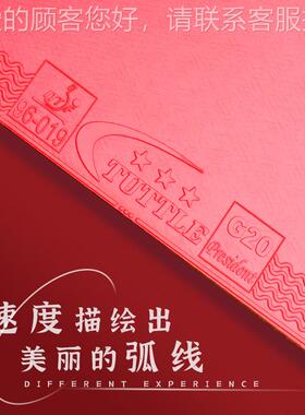 TTLE乒乓球G20拍套胶反胶GU20红胶包装涩性蛋糕海绵T皮胶片内能套
