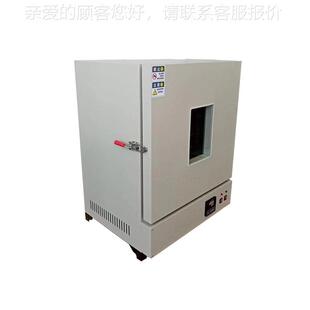 杭州天老300℃高1温老蓝化试老化试验验箱40-1BC化实验用 耐用