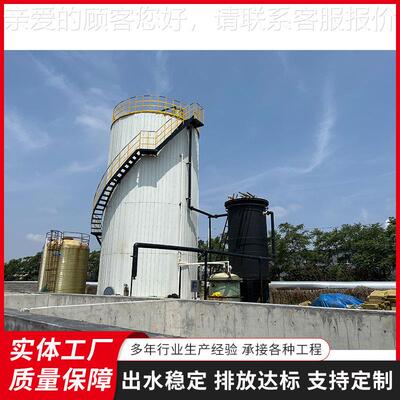 厌氧反应器 养污水处猪理设备 碧408利源应供USBA厌氧塔