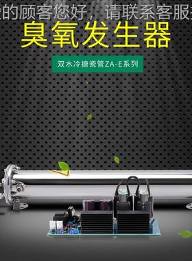 水处生理氧臭发器工厂污水处理臭EJS氧发生器配件废水净消毒化设
