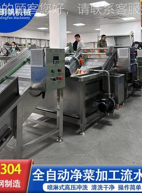 叶菜全套清洗 苹果梨猕猴WBP线桃气泡清洗机 腌菜清洗酱去盐香设