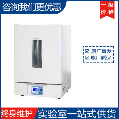 一恒精密鼓风干燥箱BPG-9056A 厂家直发