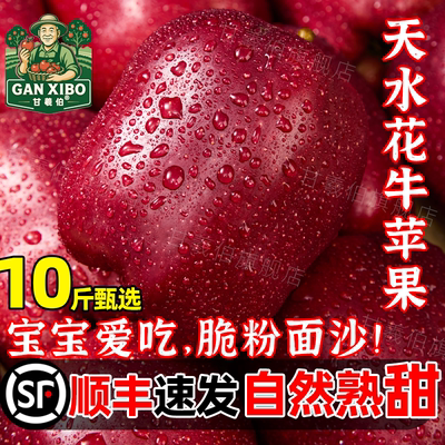 顺丰甘肃天水花牛苹果蛇红果小孩老人面粉脆沙甜苹果新鲜水果10斤