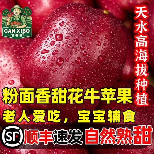 天水花牛苹果正宗甘肃当季蛇红果新鲜水果婴儿宝宝老人粉面沙甜果