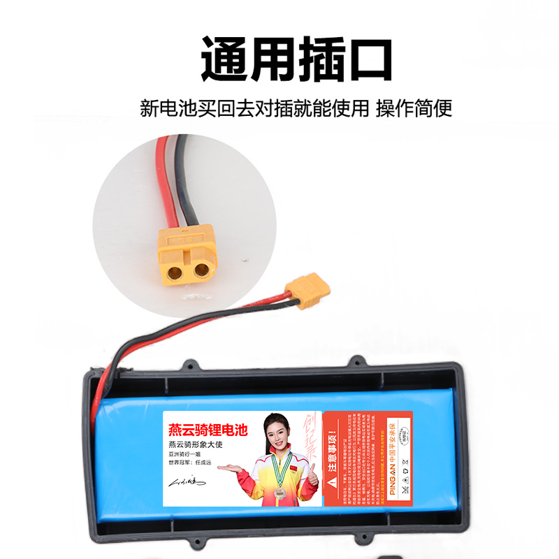 阿尔郎平衡车锂电池36v通用电动双轮扭扭车42v电54v内置电芯55v