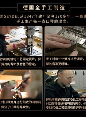 口琴赛德DL十孔布鲁斯N蓝调口琴NOL初学级