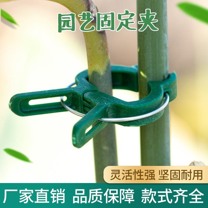 固定夹子月季爬藤番茄黄瓜卡扣秧苗蔬菜花架撑杆植物绑蔓夹支撑架图片