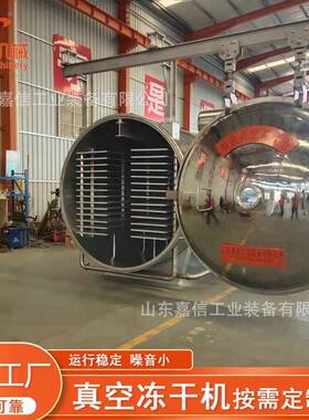 牛肚真空冻干机苹果真空干燥机香蕉橘子大型真空冻干设备生产厂家