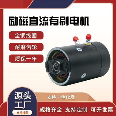 24v大功率铜线机芯动力单元马达卡车尾板专用有刷X液压直流电机