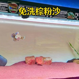 天然优质造景免洗粉沙暖白沙巴卡雷龙七彩神仙鼠鱼化妆沙鱼缸底沙