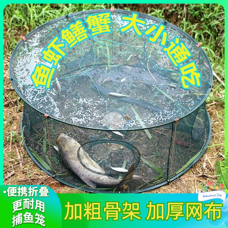 鱼笼不锈钢折叠虾捕鱼网捕龙虾笼海鱼螃蟹黄鳝泥鳅抓鱼圆形网笼子