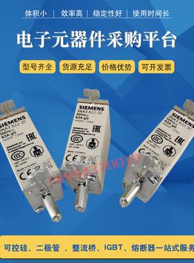 3NA3244-2C 3NA3252-2C 3NA3260-2C快速熔断器保险丝