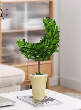 创意手工桌面摆件家居装饰品客厅室内绿植情人节月亮树礼物