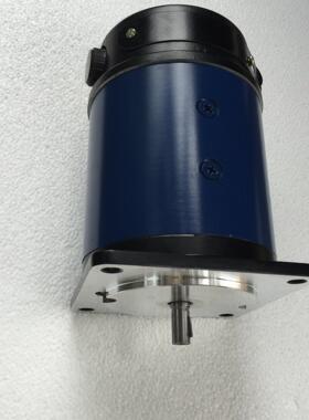 110SZ53/H1直流电机110SZ53/H6110SZ56/H3直流伺服电动机微型