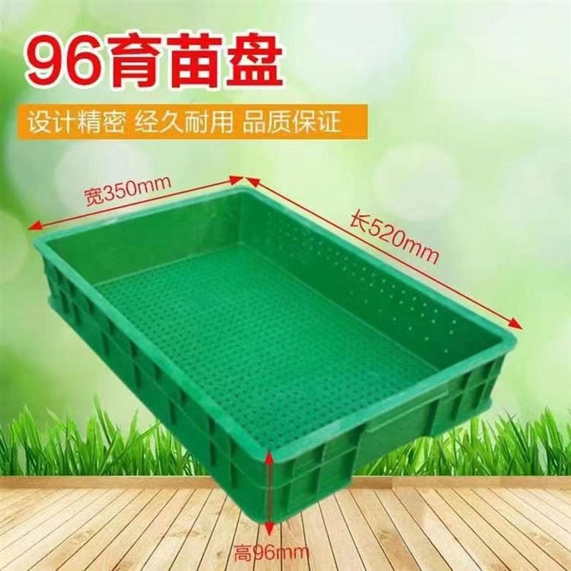 加厚塑料黑色花生芽水培育苗专用生长箱蔬菜种植S撒播长条点播穴