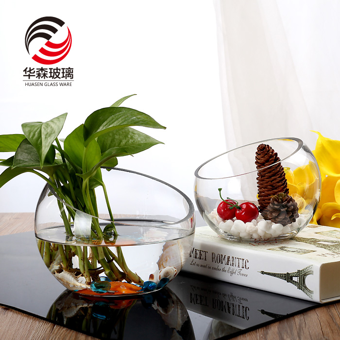 玻璃花瓶创意水培玻o璃瓶斜口微景观生态瓶水培植物养花玻璃瓶