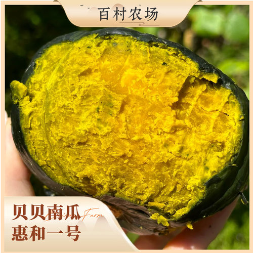 正宗贝贝南瓜 惠和一号 新鲜现摘粉糯香甜板栗味可作宝宝辅食