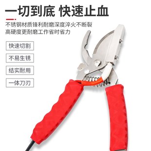 猪用断尾钳仔猪电动断尾器羔羊电热剪尾巴器不锈钢兽用养殖器械