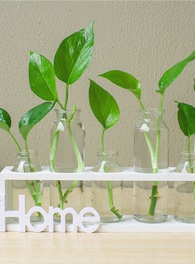 宿舍咖啡厅桌面摆件茶几上的摆件客厅吧台卫生间装饰品摆件 创意