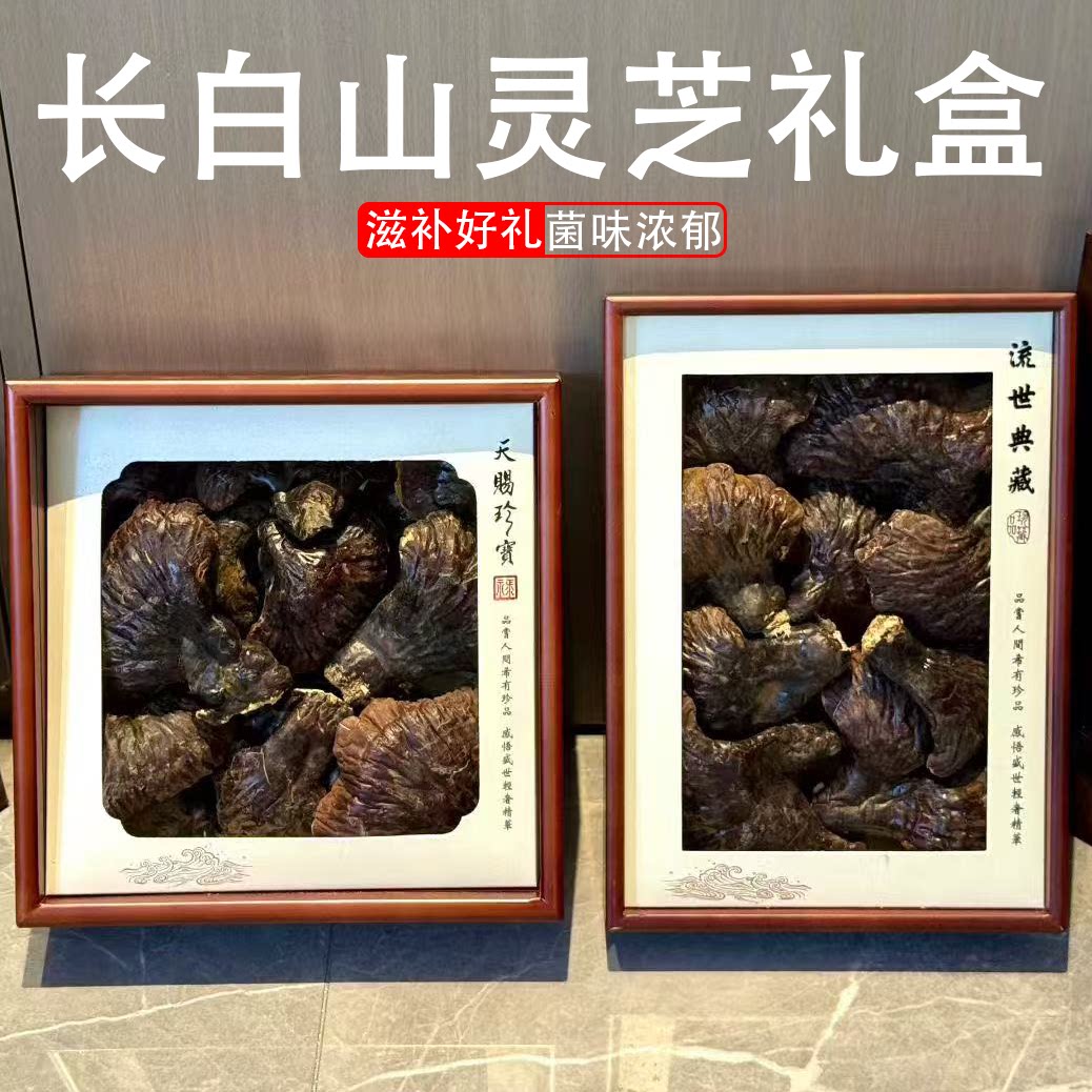 长白山灵芝礼盒整朵灵芝东北特产