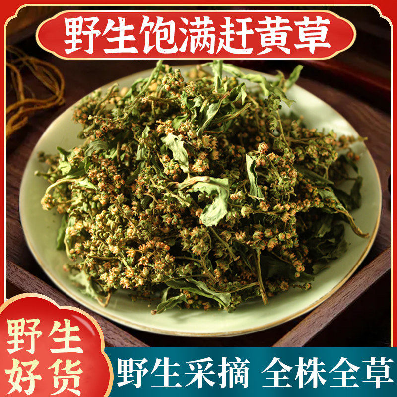 赶黄草2026年新货中药材四川古蔺全株赶黄草花叶子杆花蕾全草