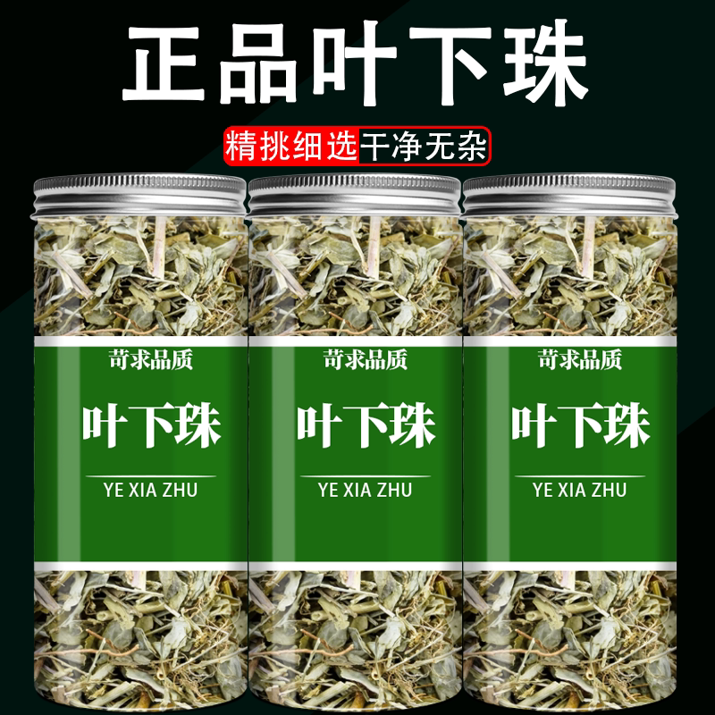 叶下珠中药材正品中草药叶下
