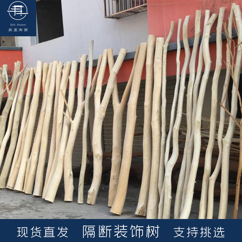 天然干树枝装饰隔断造型光杆实木枯枝粗树干创意客厅橱窗民宿造景