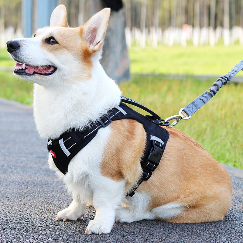 狗狗胸背带牵引绳中型小型犬柯基柴犬遛狗绳背心式宠物狗链子项圈