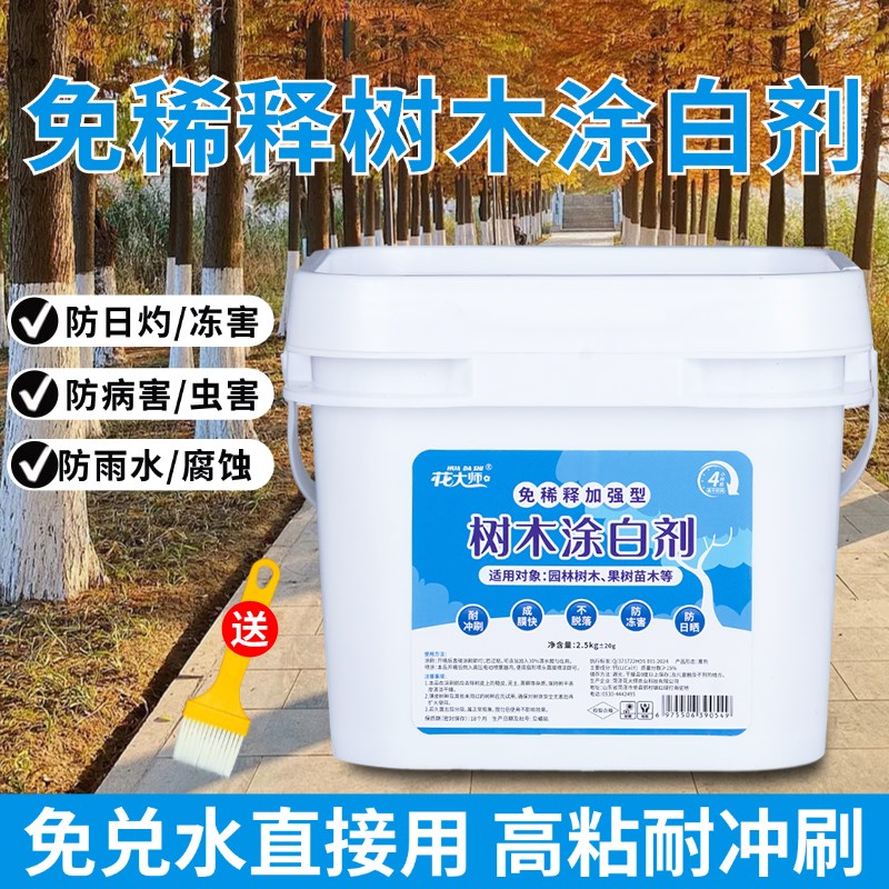 免稀释树木涂白剂树干果树防虫大树柑橘冬季园林植物防冻树木刷白