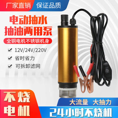 抽油泵柴油12V24伏220V抽水泵电动小型油抽子潜水泵抽油器加油机