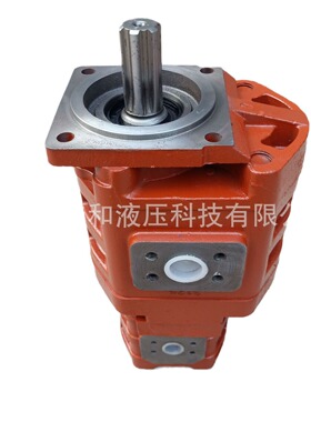 洛阳压路机齿轮泵 CBGJ3100/1032齿轮泵 球墨铸铁高压耐用液压泵