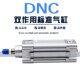 FEO型气缸DN