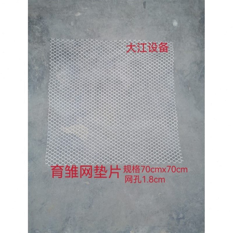 塑料网片育d雏笼网垫鸽用垫片家禽塑料网鸡笼垫网养鸡设备网床鸭