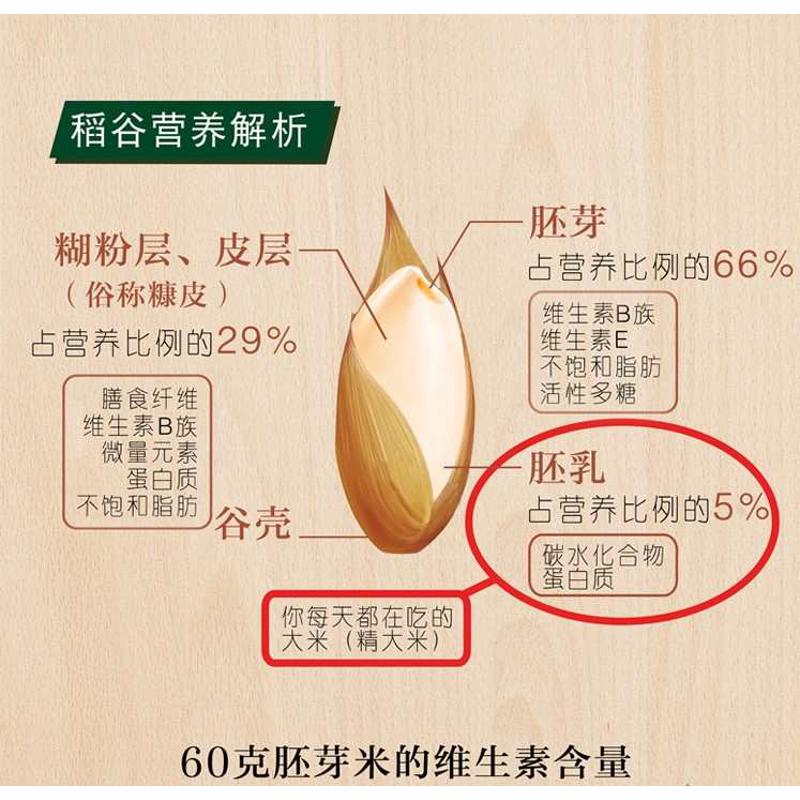 云粮航星升级家用碾米机糙米机胚芽米H机精米微米机打米磨米机鲜