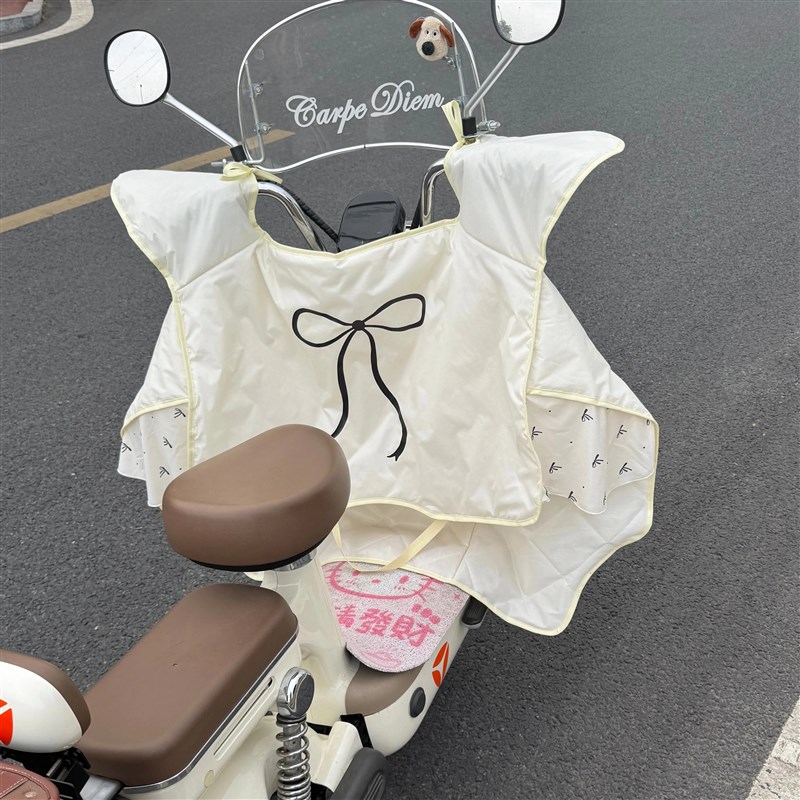 电动车挡风被夏季防晒四季通v用2025新款防晒防水薄款防风遮阳罩