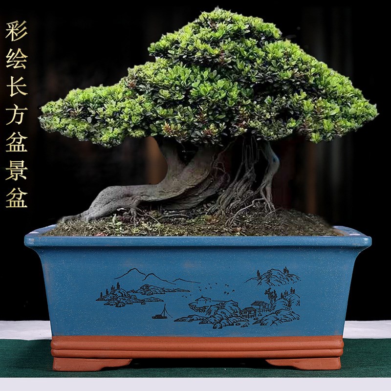 紫砂花盆长方形陶瓷盆景盆v发财树榕树迎客松老桩专用特大号马槽