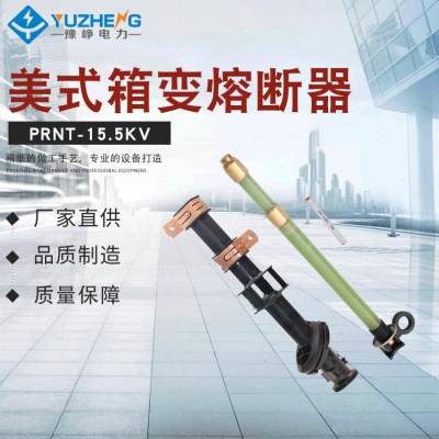 压美式箱变用油浸式熔断器 PRNT-15.5KV 双敏熔丝 支架插入