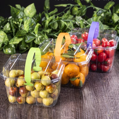 网红手提水果盒草莓一次性透明果篮打包盒葡萄冬枣2斤装包装盒子