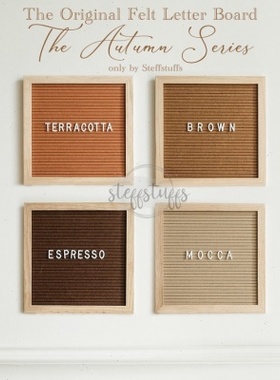 10*10毛毡字母留言板felt letterboard相框含塑料支架 含字母