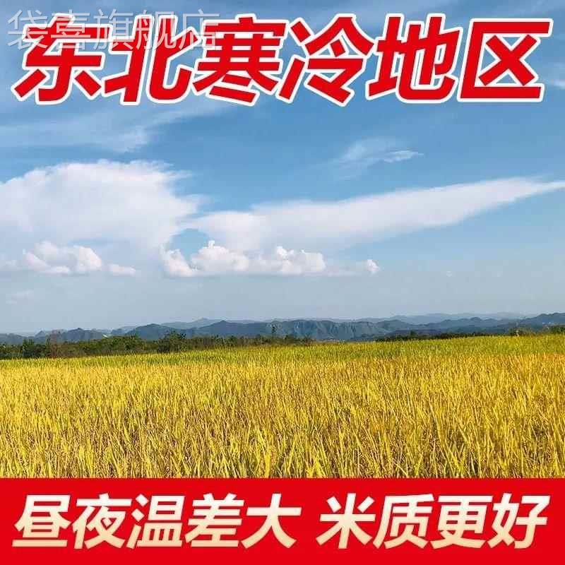 新米东北大米20斤珍珠米圆粒米粳米10斤包邮优质大米5KG原粮现磨