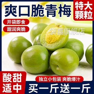 爽口青脆梅500g清脆青口梅旗舰店散装新鲜酸脆梅独立包装凉果蜜饯