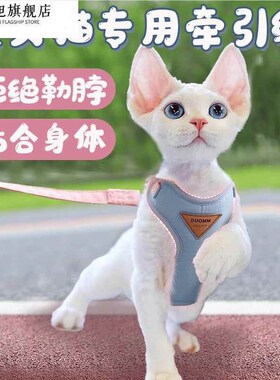 德文猫专用猫咪牵引绳防挣脱德国卷毛无毛猫溜猫绳子外出项圈小猫