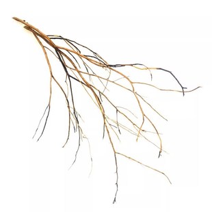 鹿角枝南美缸树枝造景沉木杜鹃根分叉枯树干小条原生溪流鱼缸装饰