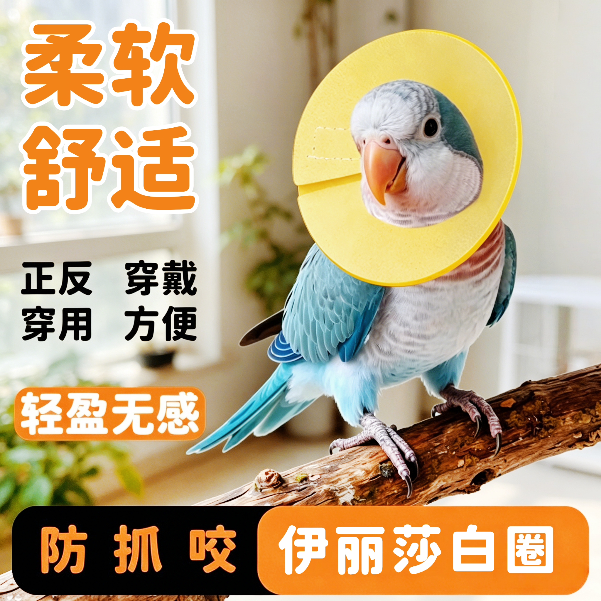宠帮仕鹦鹉伊丽莎白圈防拔毛防咬