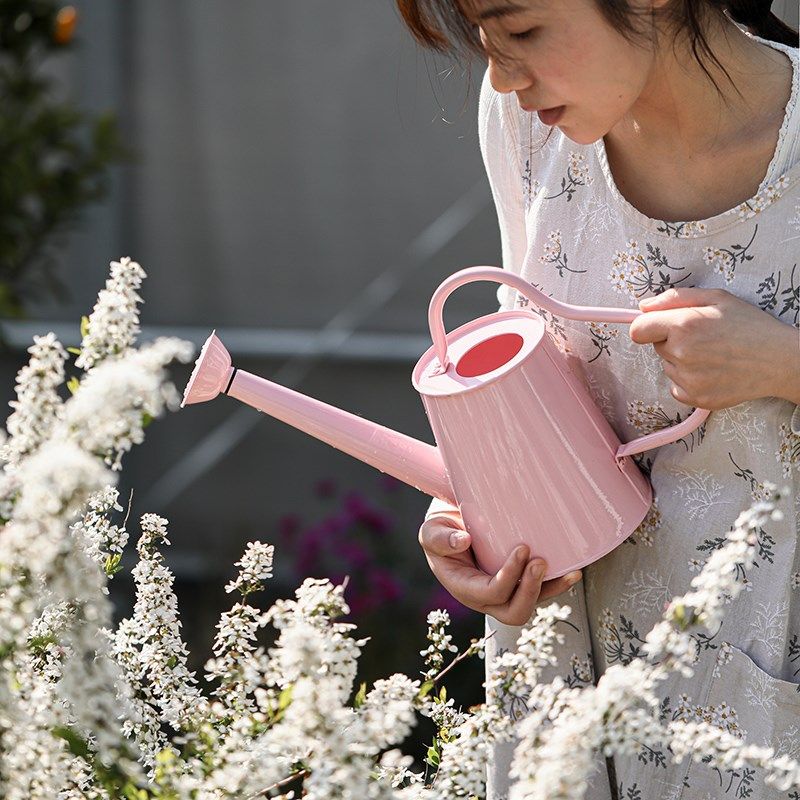 粉色铁艺爱心手柄洒水壶复古浇花壶家用小号园艺阳台花园装饰摆件,鲜花速递/花卉仿真/绿植园艺,洒水/浇水壶,淘宝优惠券,粉丝福利购,淘宝优惠卷