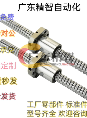 BSX BSS BSSE0601 0802 1004 1202 1210 1505 2010 2520 滚珠丝杆