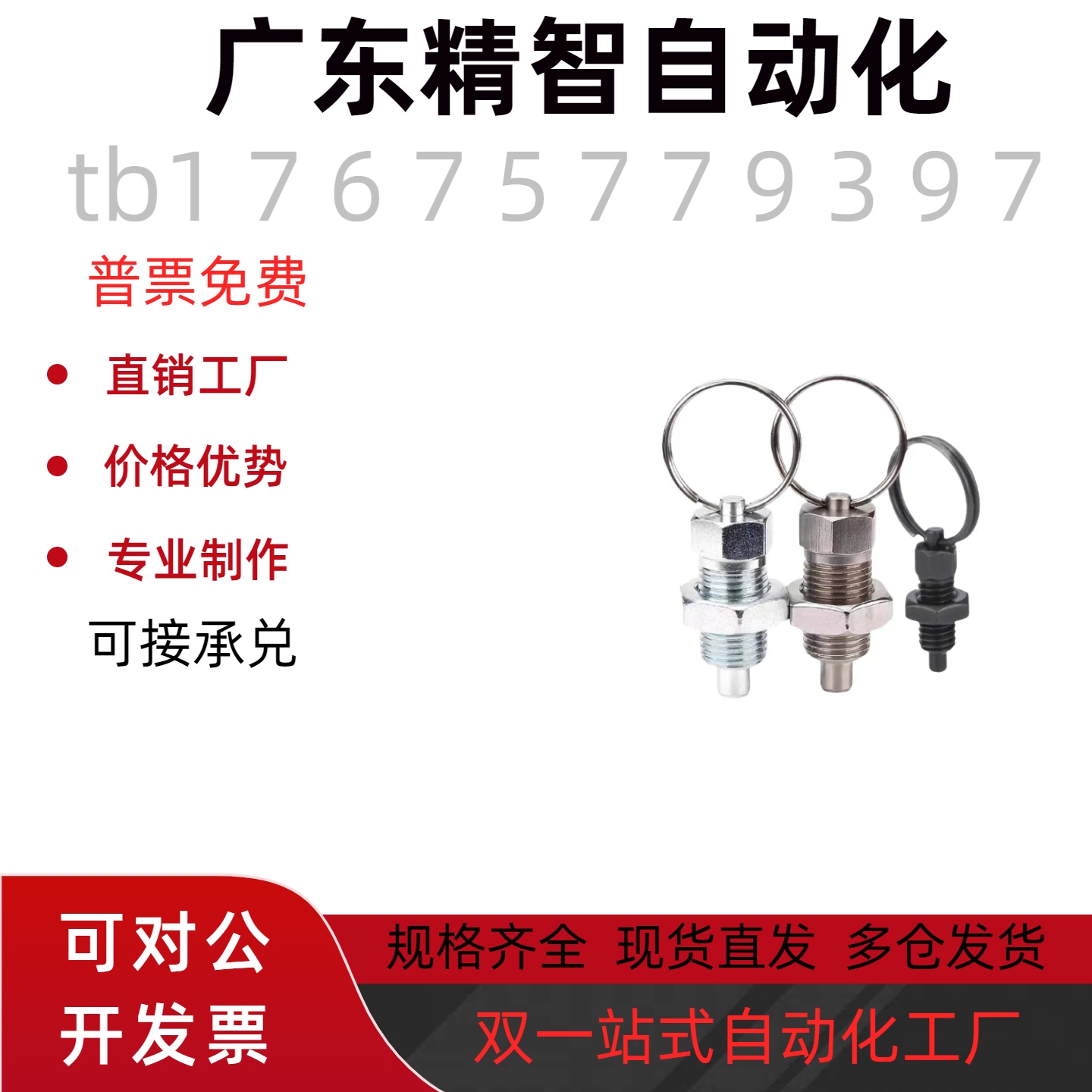 ZAC40 41 42 43 ZAC44 45-M6 M8 M10 M12分度销 拉环型GN717粗牙