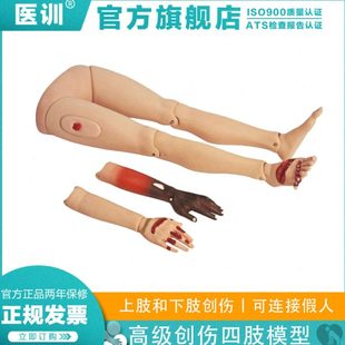 医训高级创伤四肢模型上肢下肢包扎伤口处理练习模具四肢模型烧伤